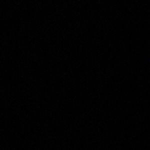 Meet your Posher, Frankie